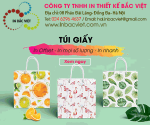 Công Ty In Túi Giấy Bắc Việt