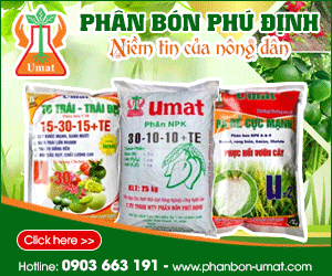 Công Ty TNHH MTV Phân Bón Phú Định