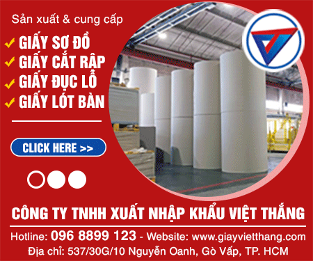 CÔNG TY TNHH XUấT NHậP KHẩU VIệT THắNG