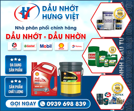 CÔNG TY TNHH ĐầU Tư PHÁT TRIểN THươNG MạI HưNG VIệT