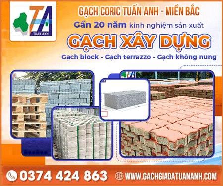 Công Ty TNHH Một Thành Viên Dịch Vụ Vận Tải Tuấn Anh