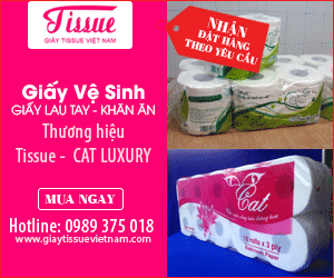 Công Ty Cổ Phần Thương Mại Và Sản Xuất Giấy Tissue Việt Nam