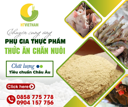 CÔNG TY TNHH DịCH Vụ ĐầU Tư VÀ XÚC TIếN THươNG MạI HưNG THịNH VIệT NAM