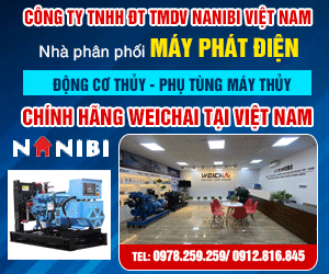 Công Ty TNHH Đầu Tư Thương Mại Dịch Vụ NaNiBi Việt Nam