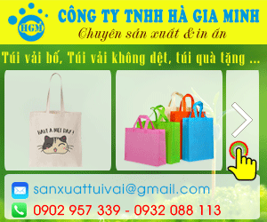 Công Ty TNHH Hà Gia Minh