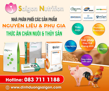 CÔNG TY Cổ PHầN DINH DưỡNG SÀI GÒN