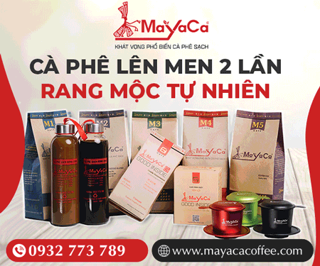 CÔNG TY TNHH MTV CÀ PHÊ MAYACA