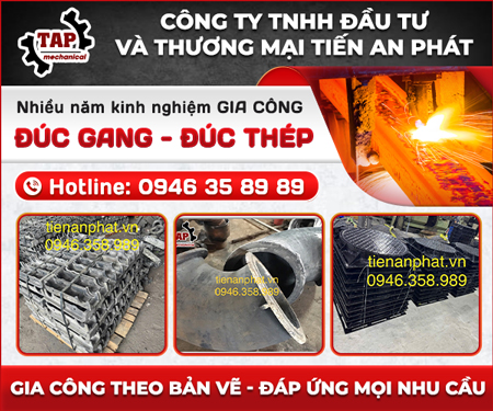 CÔNG TY TNHH ĐầU Tư VÀ THươNG MạI TIếN AN PHÁT