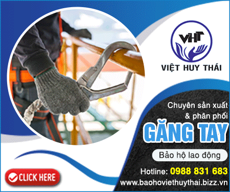 Công Ty TNHH MTV Việt Huy Thái