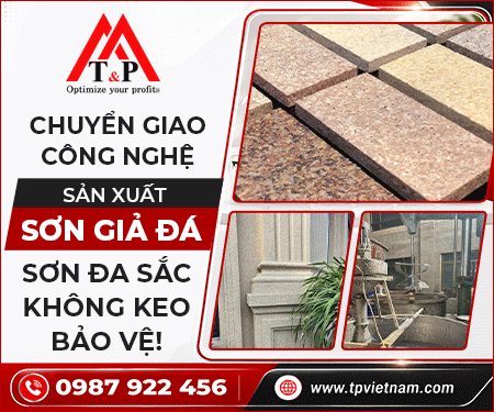 Công Ty TNHH Thương Mại Và Dịch Vụ T&P Việt Nam