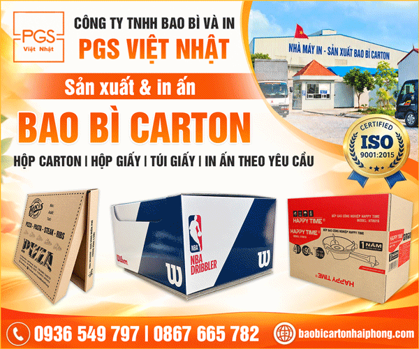 Công Ty TNHH Bao Bì Và In PGS Việt Nhật