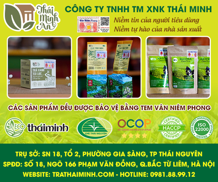 CÔNG TY TNHH THươNG MạI XUấT NHậP KHẩU THÁI MINH