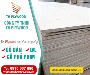 Công Ty TNHH TH Plywood