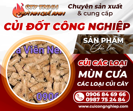 CÔNG TY TNHH HUỳNH QUế ANH