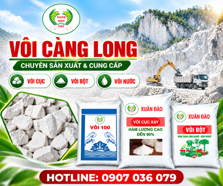 CÔNG TY TNHH MTV VÔI CÀNG LONG