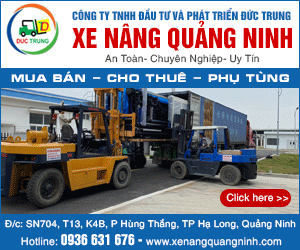 Công Ty TNHH Đầu Tư Và Phát Triển Đức Trung