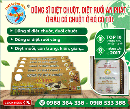 CÔNG TY TNHH MộT THÀNH VIÊN THươNG MạI SảN XUấT AN PHÁT