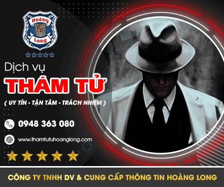 Công Ty TNHH Dịch Vụ Và Cung Cấp Thông Tin Hoàng Long