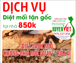 Công Ty TNHH TM Và DV Tổng Hợp Xuyên Việt Group