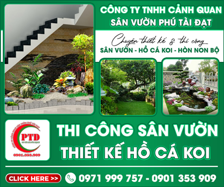 Công Ty TNHH Cảnh Quan Sân Vườn Phú Tài Đạt