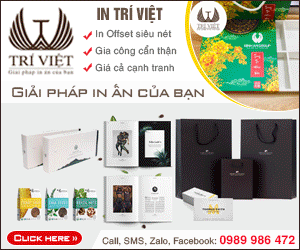 Công Ty TNHH Đầu Tư Và Phát Triển In Trí Việt