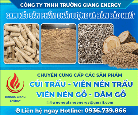 CÔNG TY TNHH TRườNG GIANG ENERGY