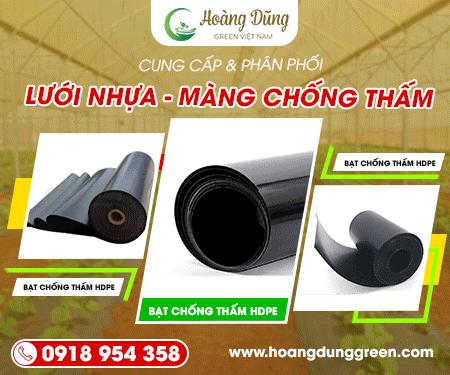 CÔNG TY TNHH HOÀNG DũNG GREEN VIệT NAM