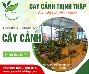 Công Ty TNHH Cảnh Quan Trịnh Thập