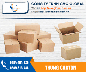 Công Ty TNHH CVC Global