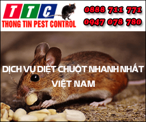 Công Ty TNHH Pestcontrol - Diệt Chuột