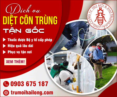 CÔNG TY TNHH THươNG MạI DịCH Vụ TRừ MốI KHử TRÙNG HảI LONG