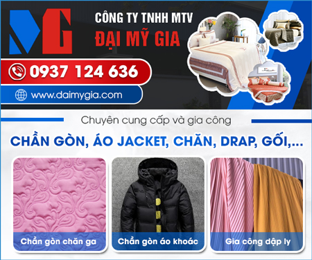 CÔNG TY TNHH MộT THÀNH VIÊN ĐạI Mỹ GIA