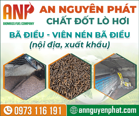 CÔNG TY TNHH TM DV SX AN NGUYÊN PHÁT - BÃ Vỏ đIềU