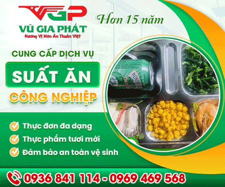 CÔNG TY TNHH MTV Vũ GIA PHÁT