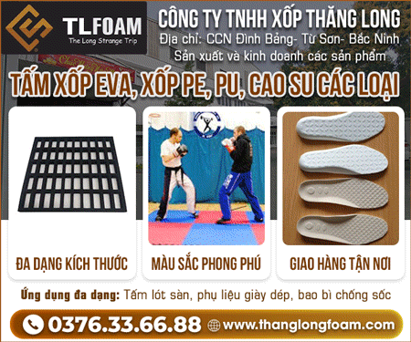 CÔNG TY TNHH XốP THăNG LONG