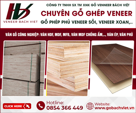CÔNG TY TNHH SảN XUấT THươNG MạI XUấT NHậP KHẩU Gỗ VENNEER BÁCH VIệT