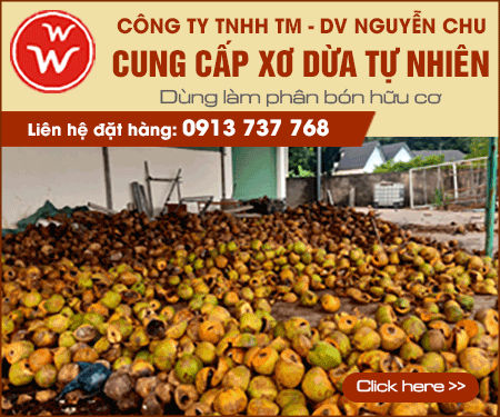 Công Ty TNHH Thương Mại - Dịch Vụ Nguyễn Chu