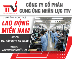 Công Ty TNHH TTV Đông Sài Gòn