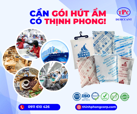 Công Ty TNHH Sản Xuất Thương Mại Dịch Vụ Thịnh Phong - Container