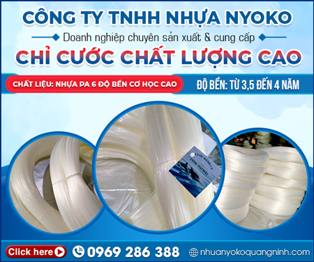 CÔNG TY TNHH NHựA NYOKO