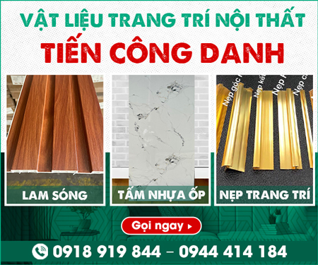 CÔNG TY TNHH MộT THÀNH VIÊN TIếN CÔNG DANH