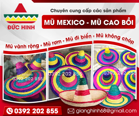 CÔNG TY Mũ NÓN MEXICO ĐứC HINH