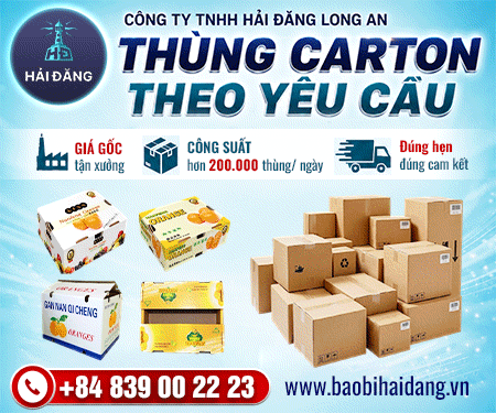 Công Ty TNHH Sản Xuất Hải Đăng Long An - Bao bì carton