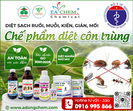 Công Ty TNHH Sản Xuất Và Thương Mại Dịch Vụ Hải Phong