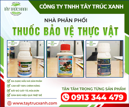 CÔNG TY TNHH TÂY TRÚC XANH