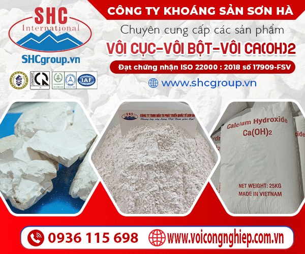 CÔNG TY TNHH ĐầU Tư PHÁT TRIểN QUốC Tế SơN HÀ