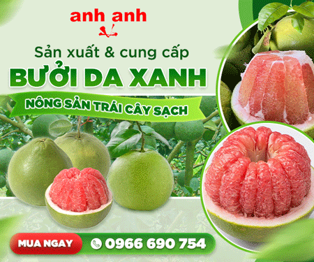 Hộ KINH DOANH Cơ Sở ANH ANH