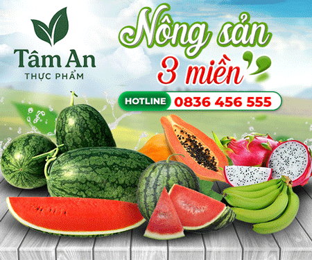 CÔNG TY TNHH THựC PHẩM SạCH TÂM AN HảI DươNG - NÔNG SảN HOA QUả