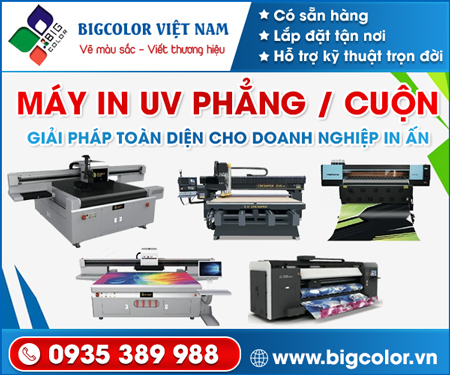 Công Ty TNHH Xuất Nhập Khẩu Bigcolor