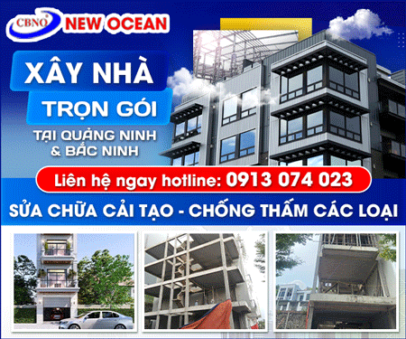 Công Ty Cổ Phần Xây Dựng & Thương Mại New Ocean